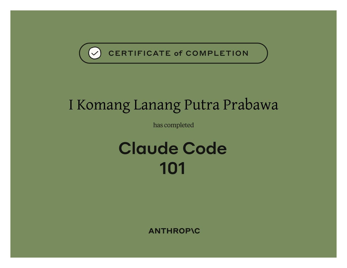Sertifikat The Assistant Certificate